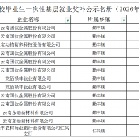 楚雄这13人获一次性基层就业奖补！名单正在公示→