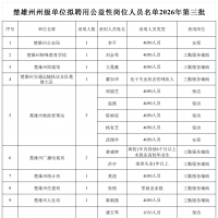 名单正在公示！楚雄这19人拟被聘用→
