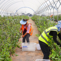 走稳走好幸福路！楚雄州建成28个“幸福里”社区