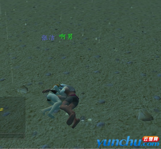 455.jpg