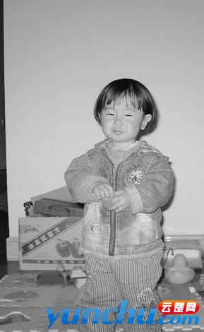 小黑豆