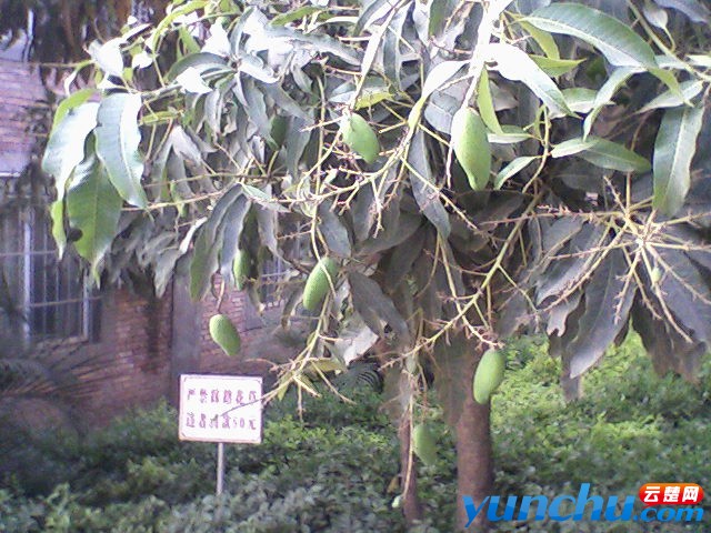20110512184318.jpg