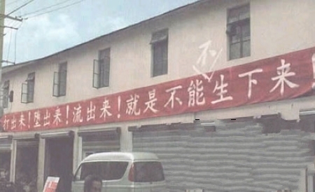 8787878.jpg
