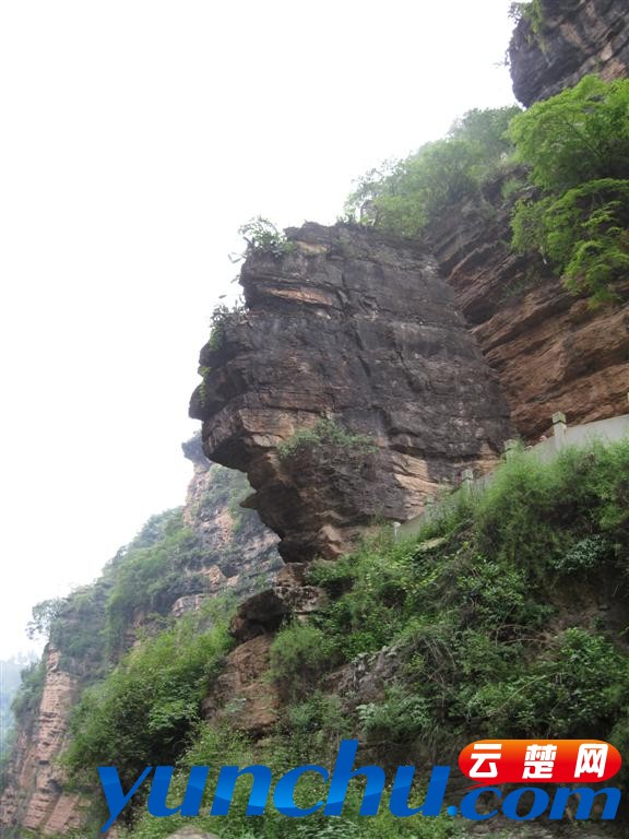 IMG_1098 (大型).JPG