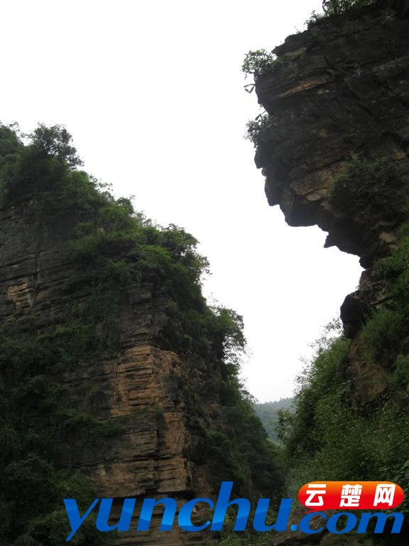 IMG_1099 (大型).JPG