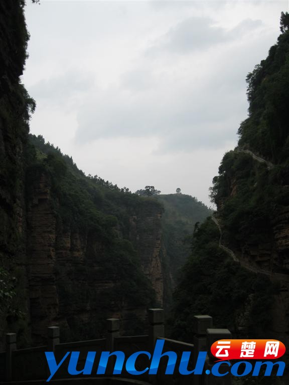 IMG_1105 (大型).JPG