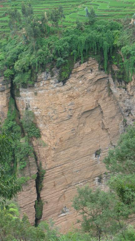 万德（23） 581 (大型).jpg