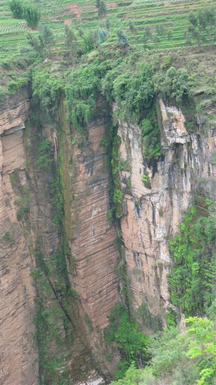 万德（23） 593 (大型).jpg