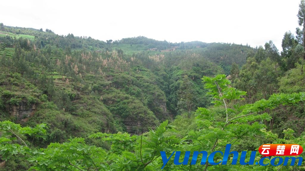 万德（23） 599 (大型).jpg