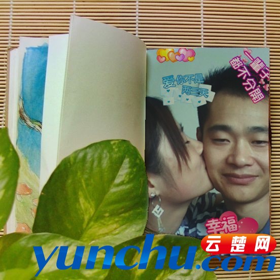 uy57987.jpg