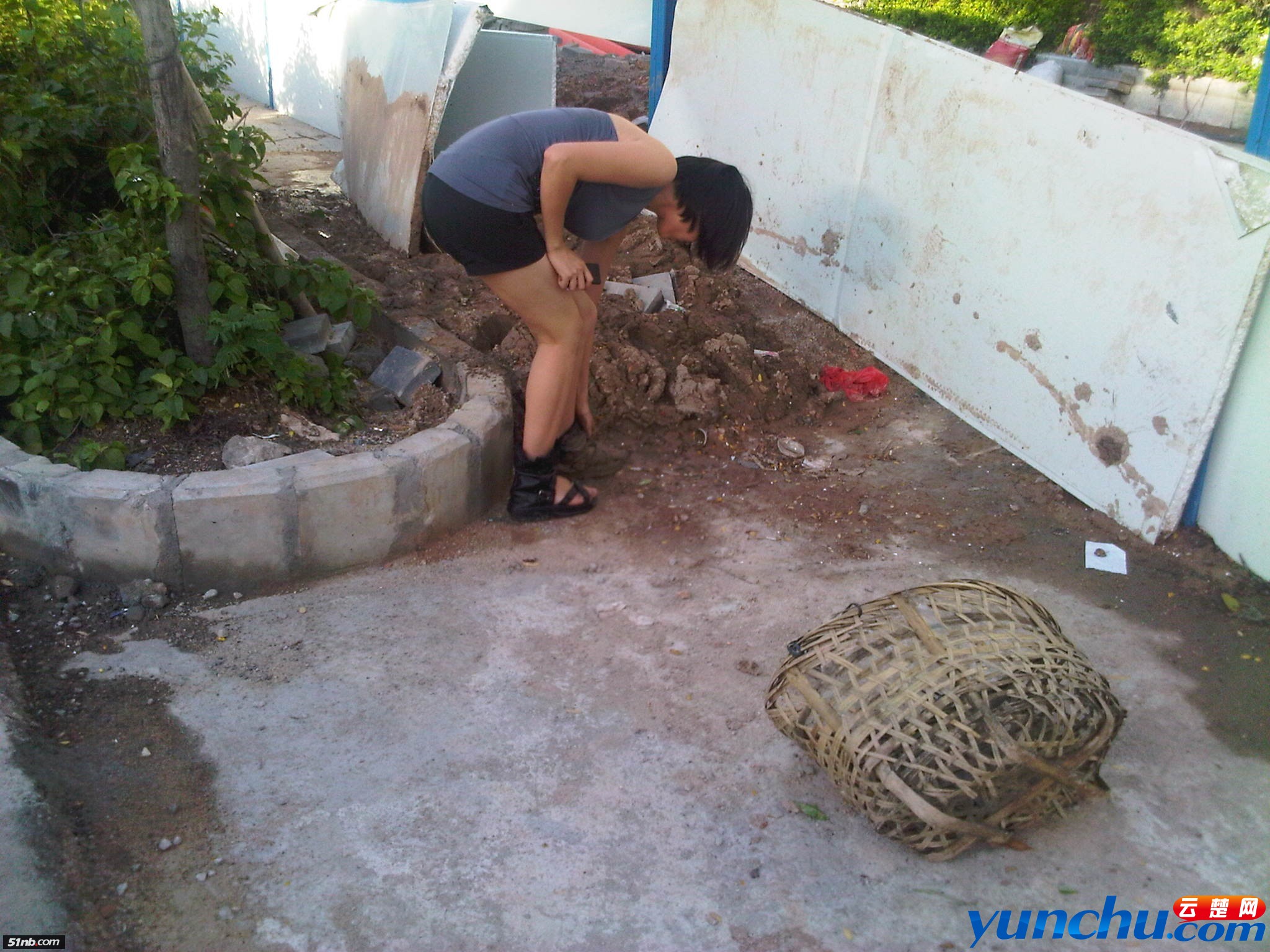 IMG-20110612-00002.jpg