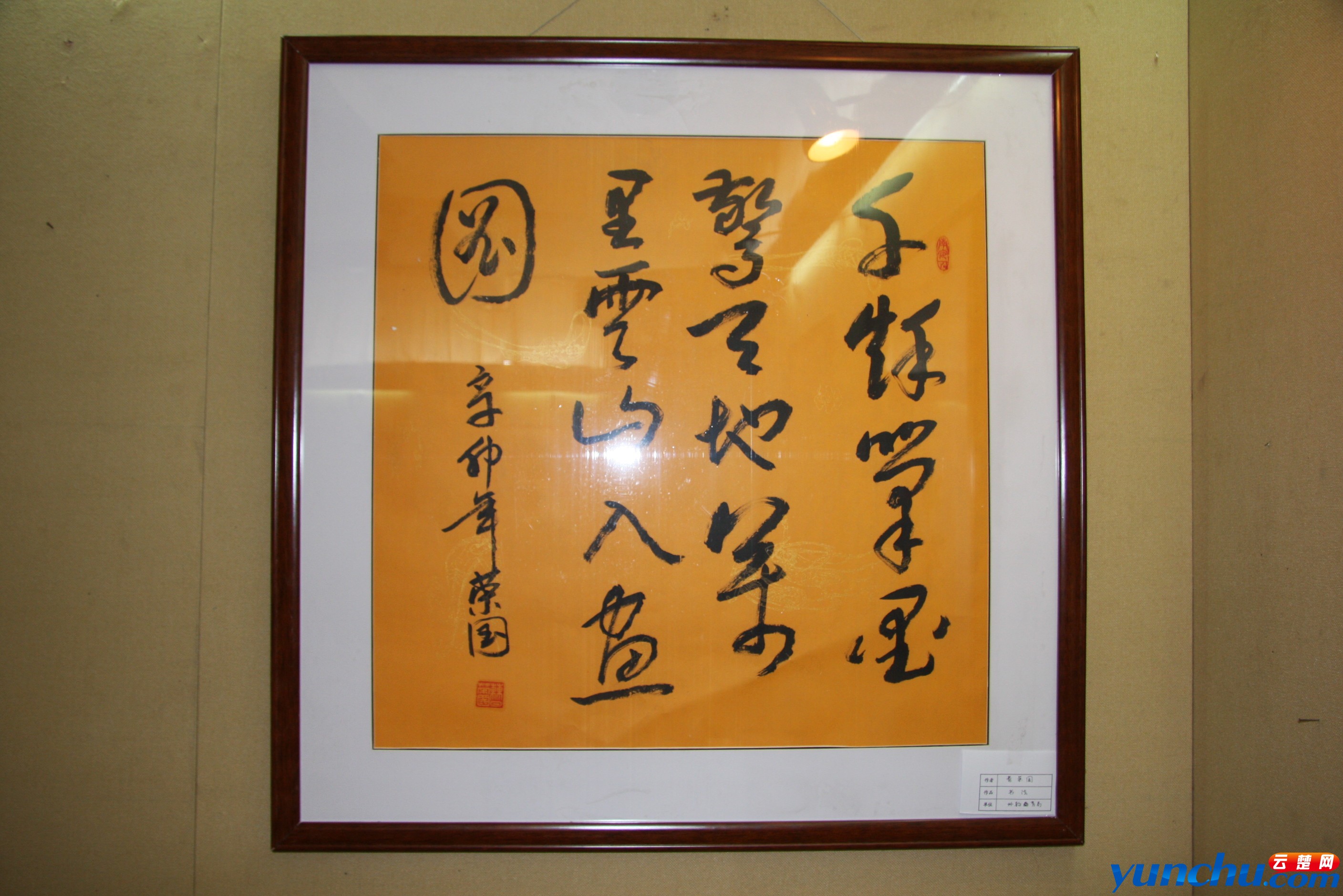 IMG_1462.jpg