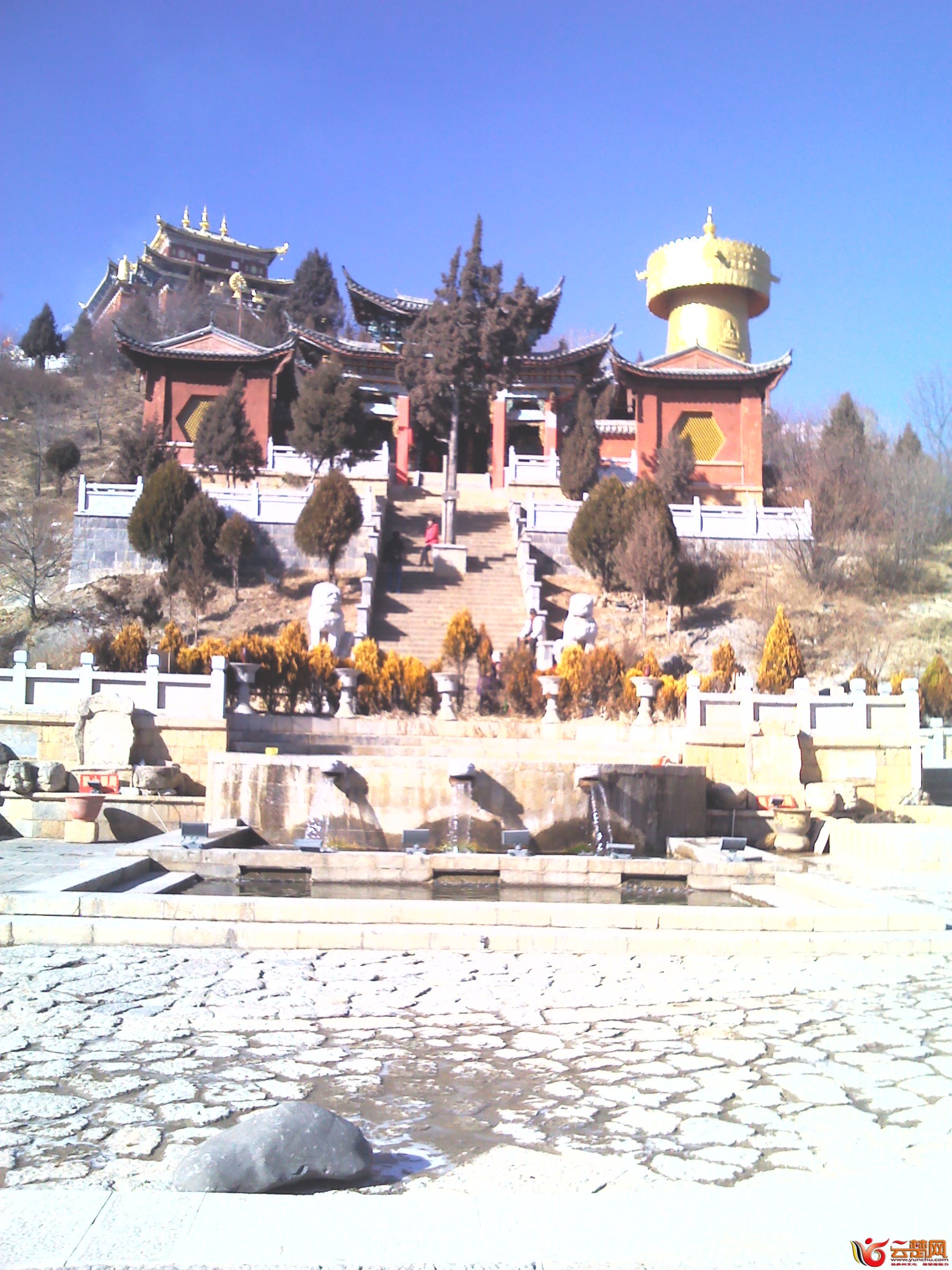 IMG_20120101_110702.jpg