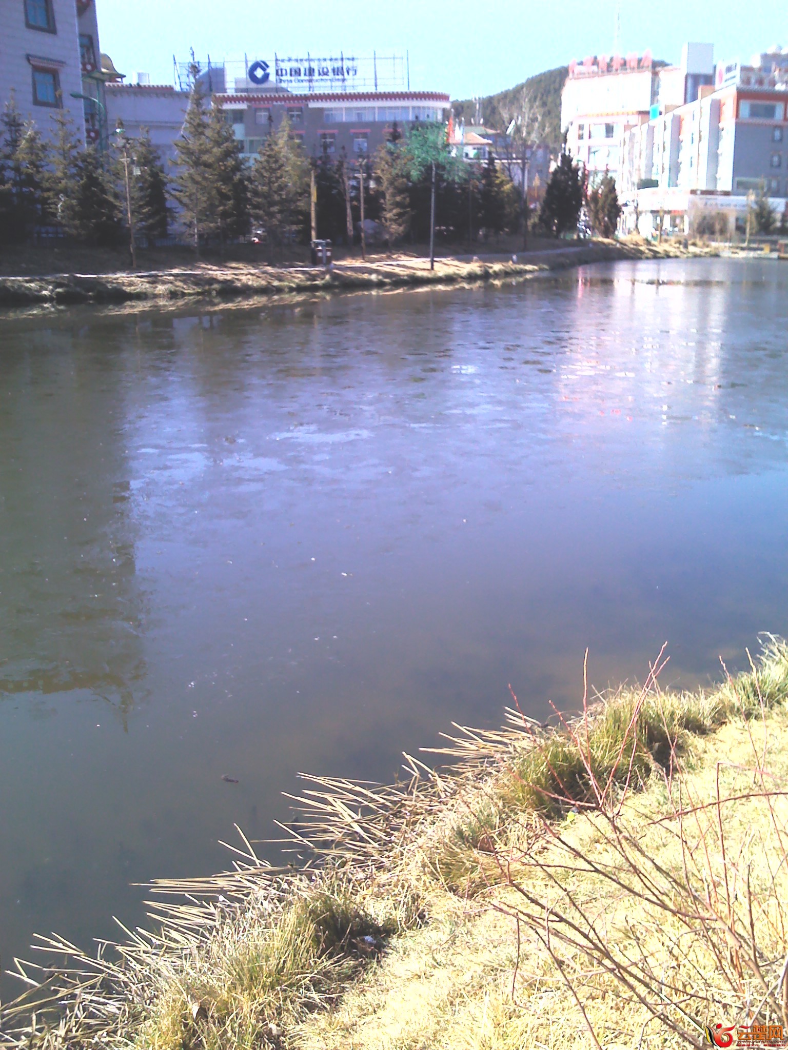 IMG_20111229_135637.jpg