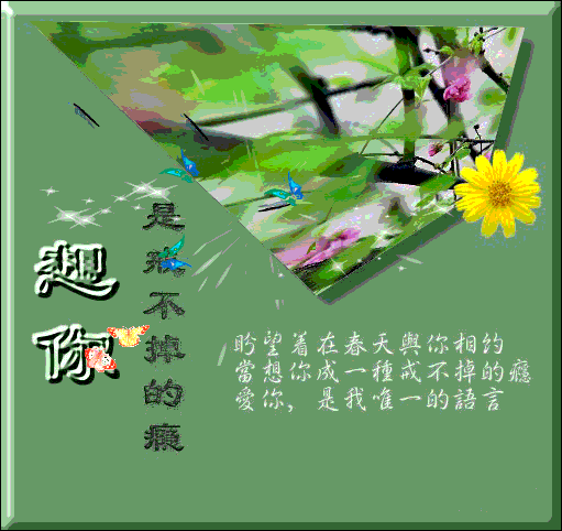 4.gif