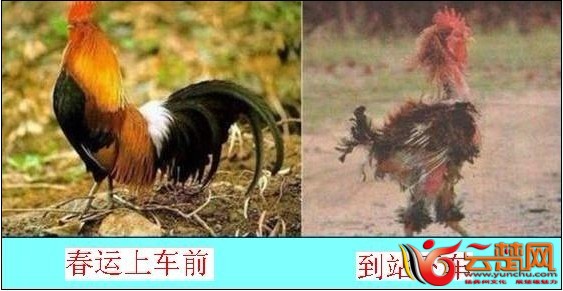 春运.jpg