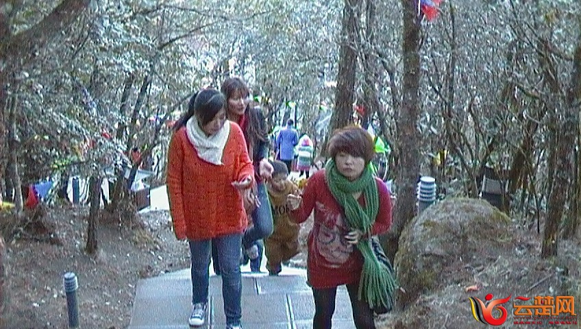 SAM_0221.JPG