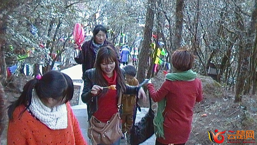 SAM_0222.JPG