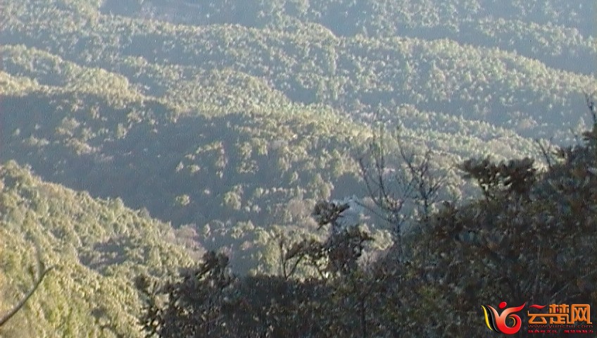 SAM_0223.JPG