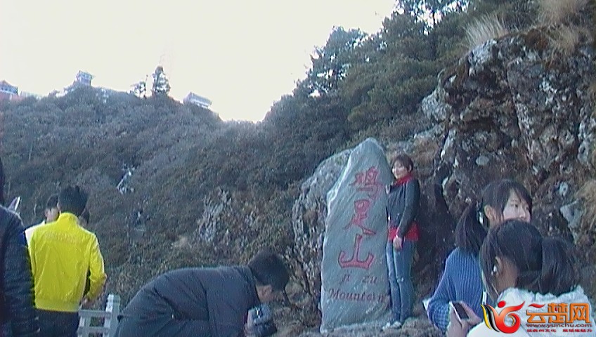 SAM_0255.JPG