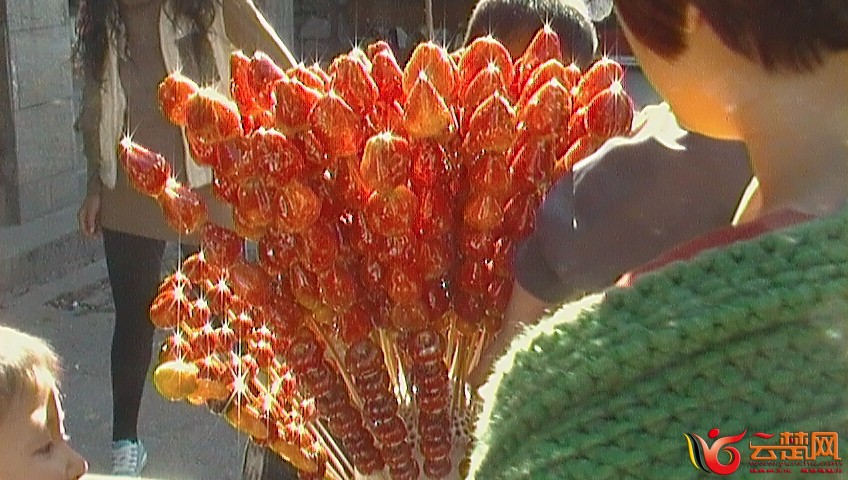 SAM_0309.JPG