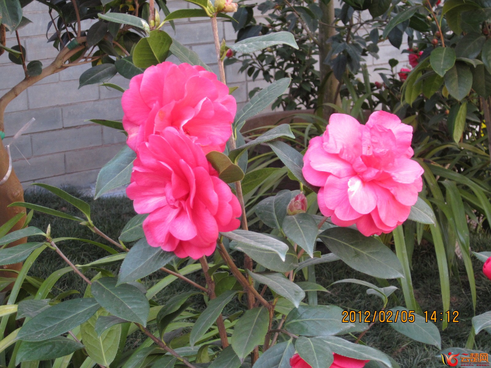 IMG_0079.JPG