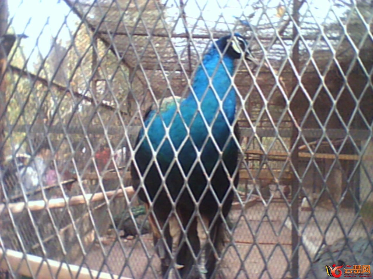 IMG10041.jpg