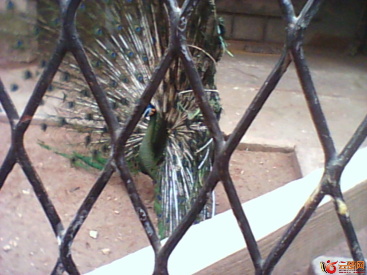 IMG10031.jpg