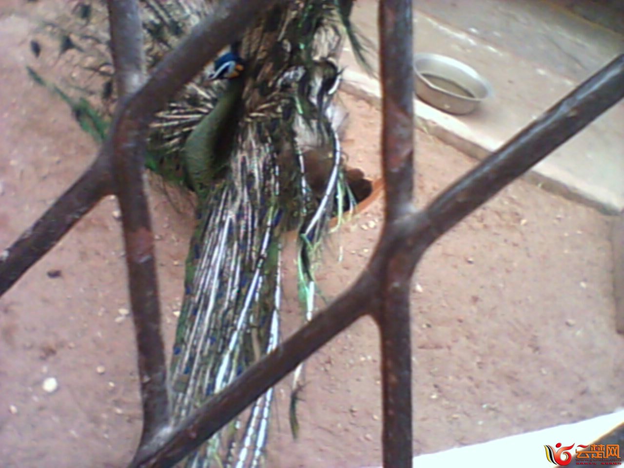 IMG10032.jpg