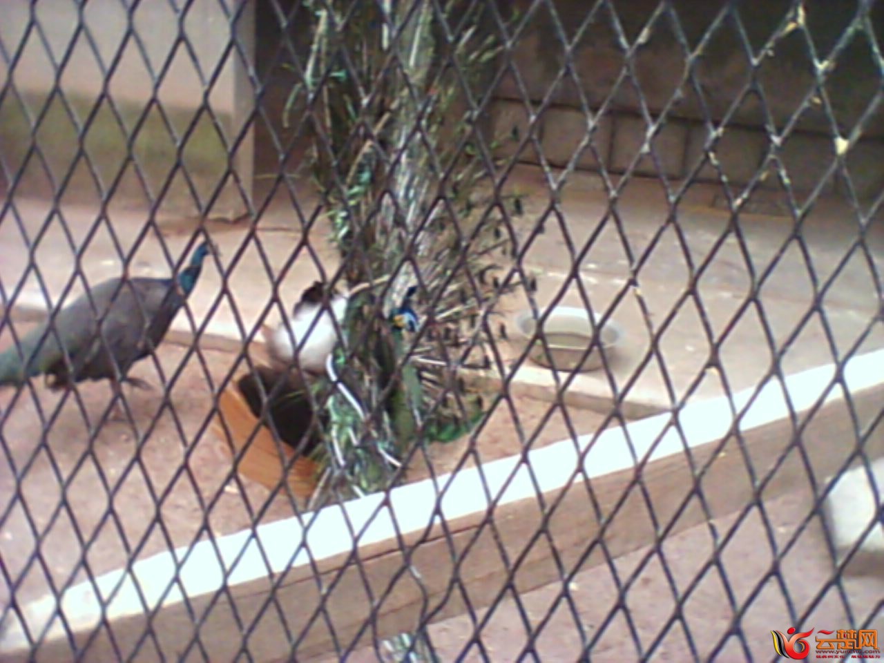IMG10034.jpg