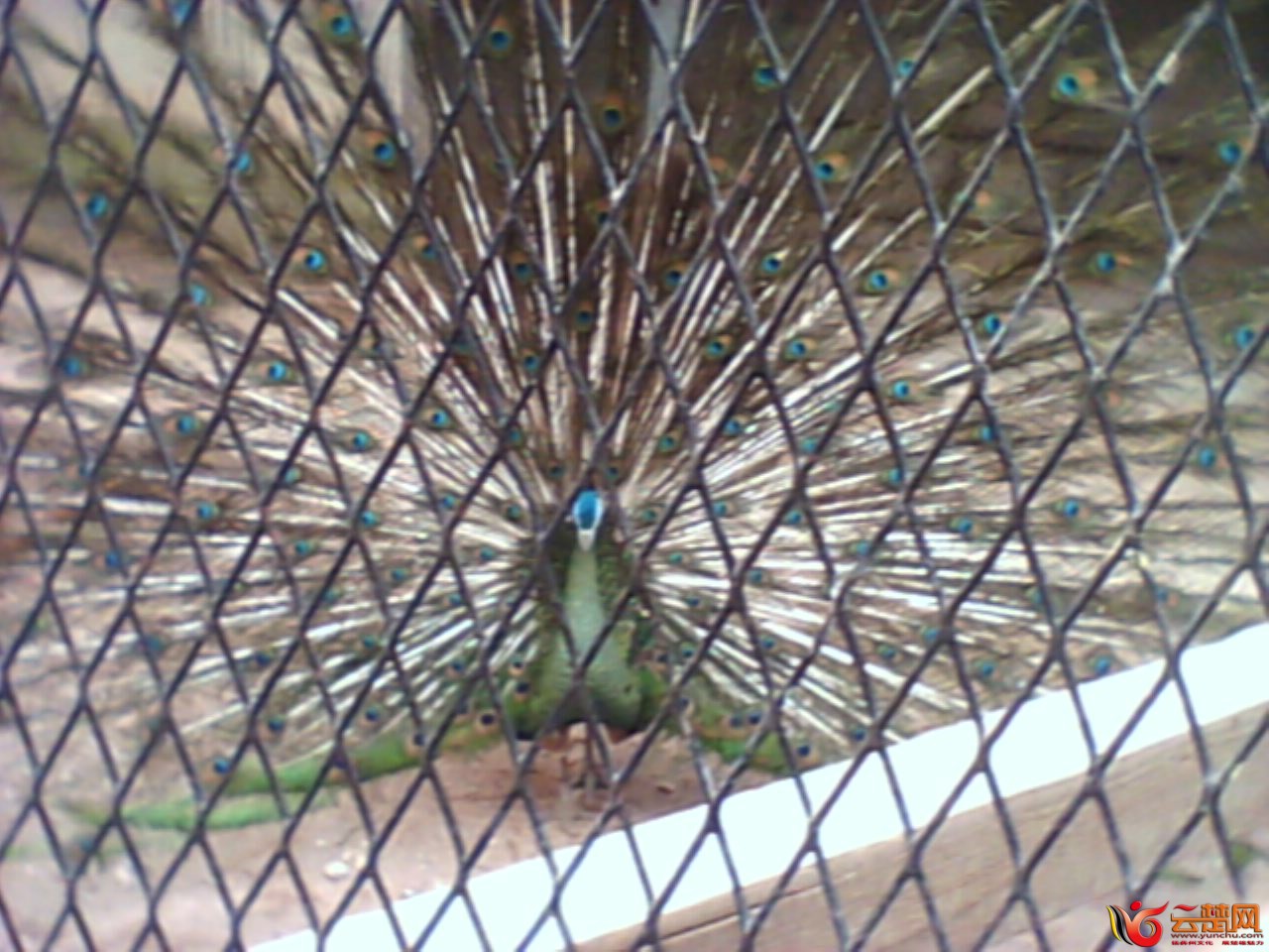 IMG10035.jpg