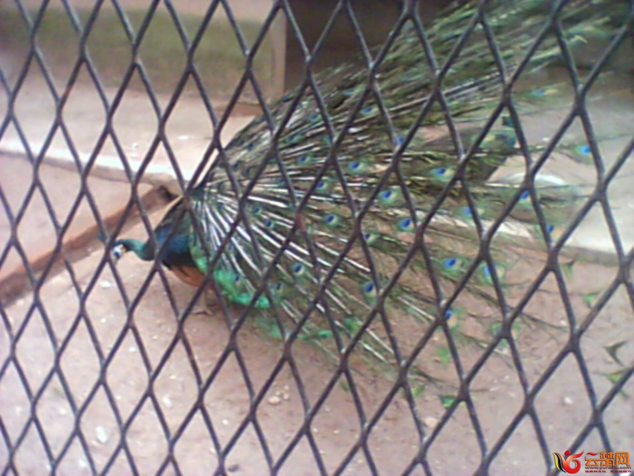 IMG10037.jpg