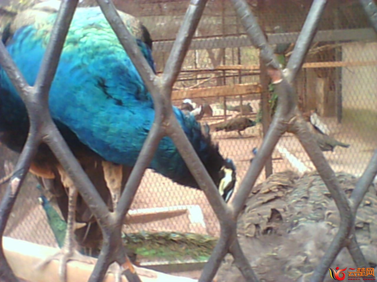 IMG10039.jpg