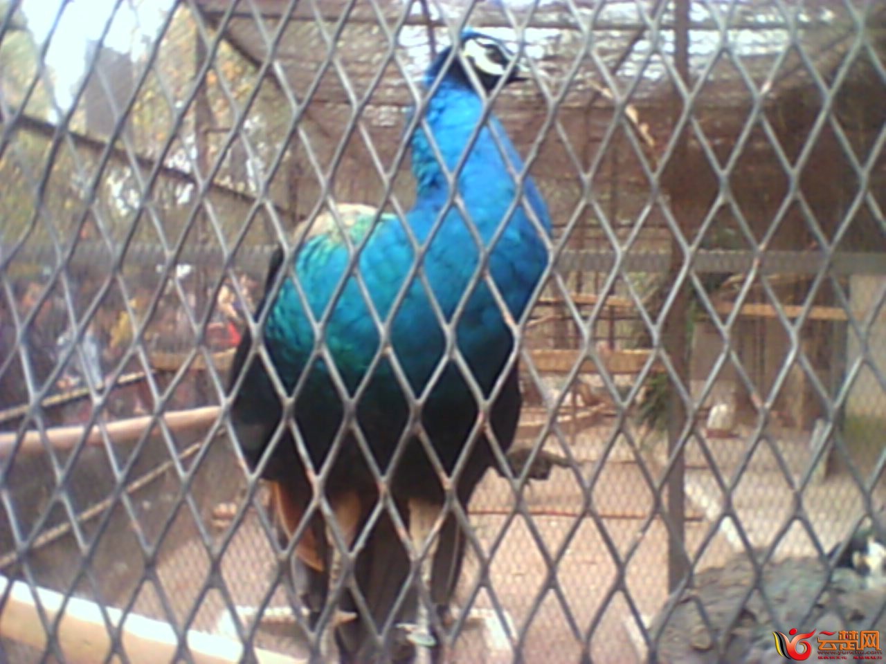 IMG10040.jpg