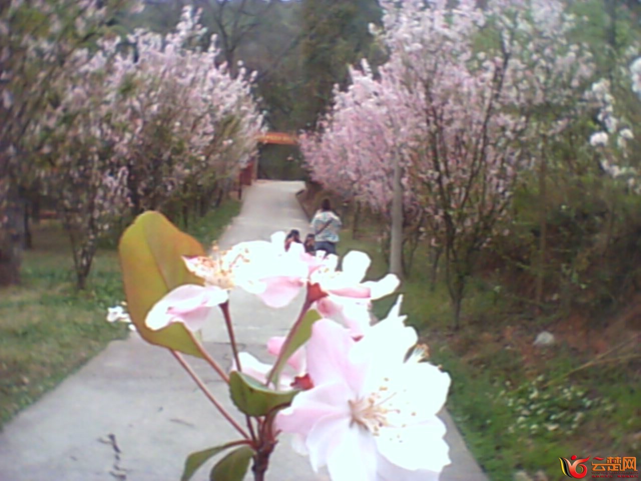 IMG10042.jpg