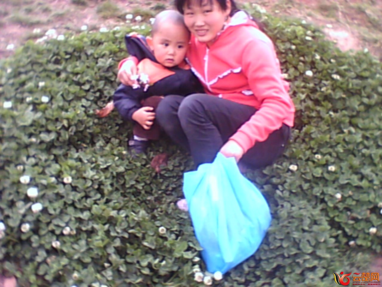 IMG10043.jpg
