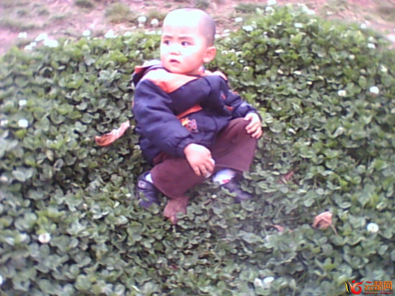 IMG10044.jpg