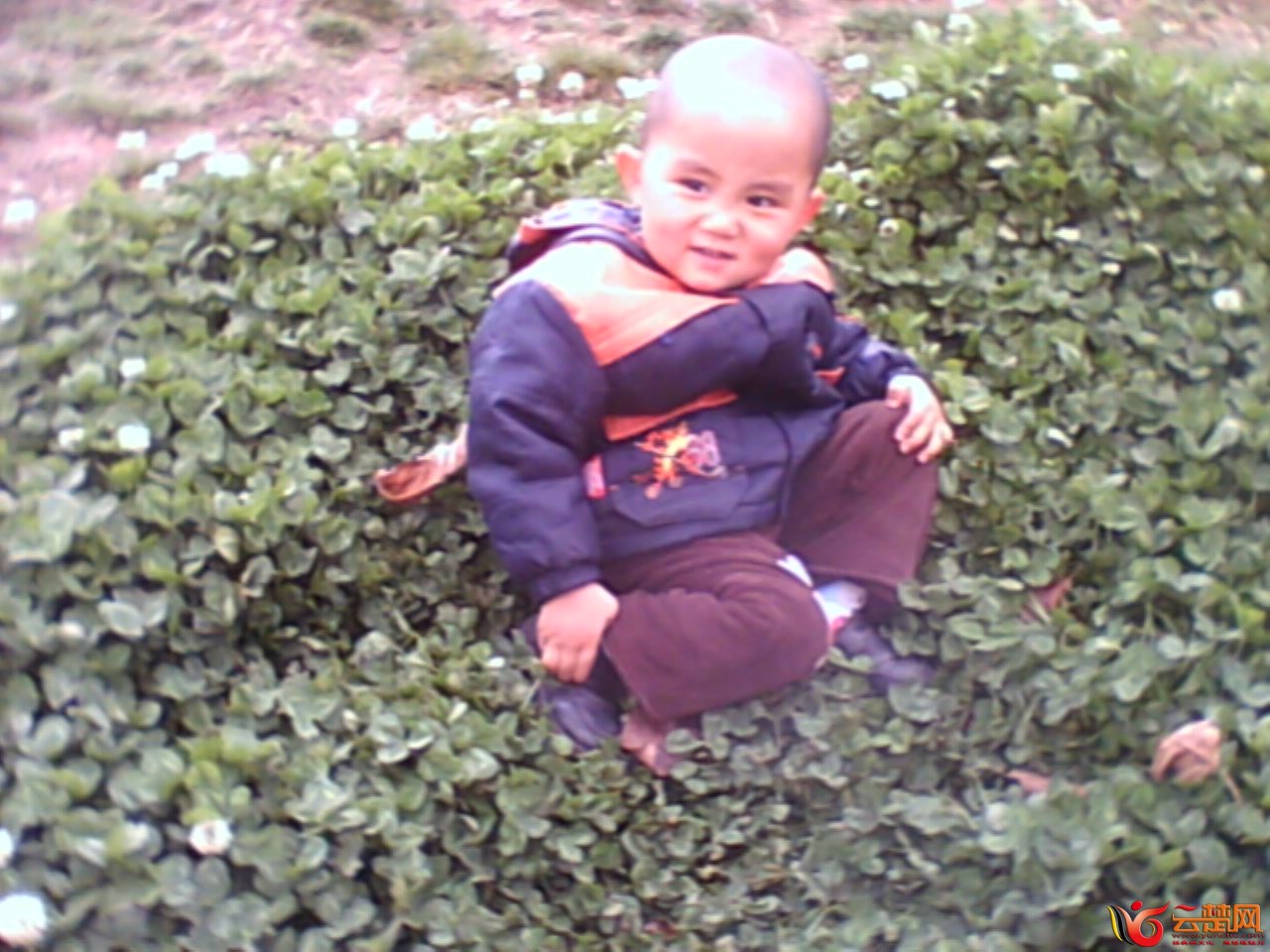 IMG10045.jpg