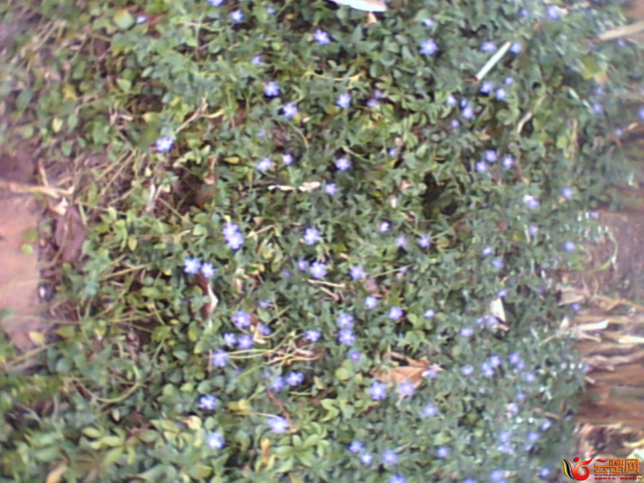 IMG10047.jpg