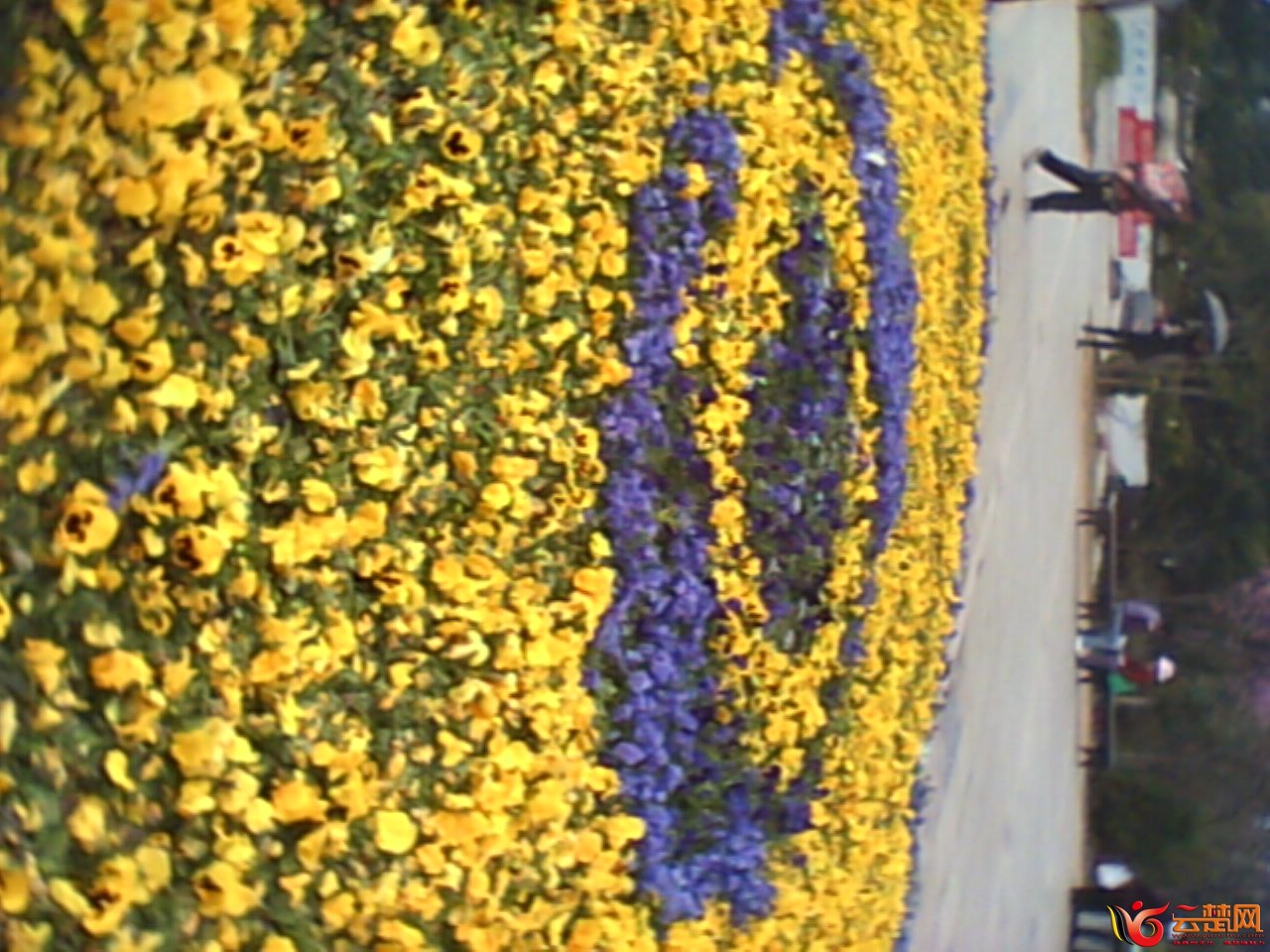 IMG10048.jpg