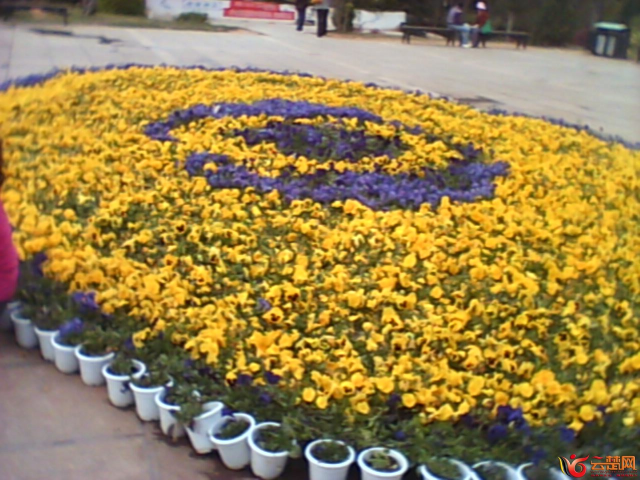 IMG10049.jpg
