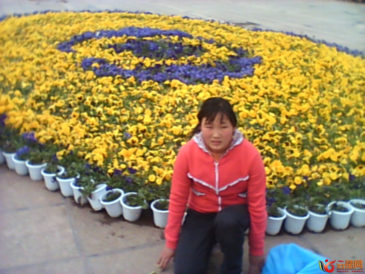 IMG10050.jpg