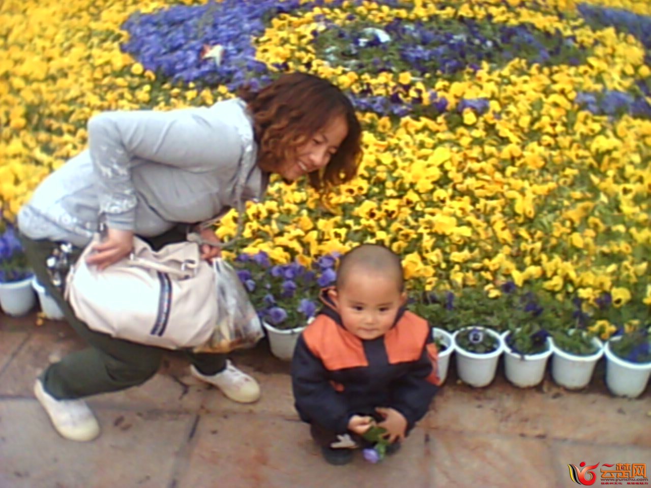 IMG10051.jpg