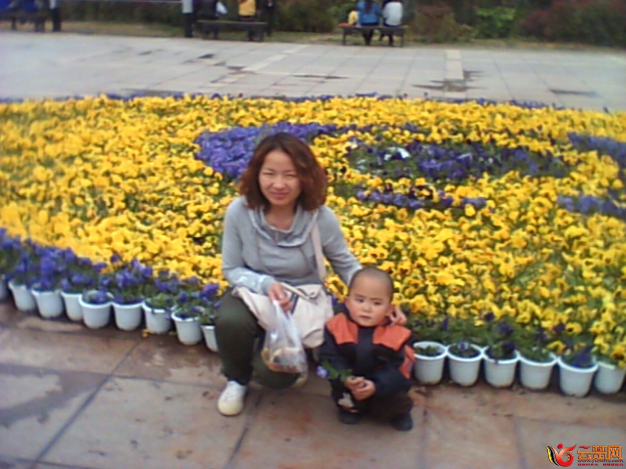 IMG10052.jpg