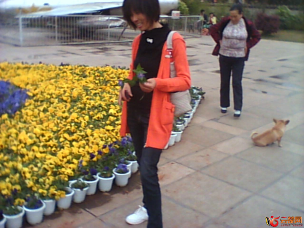 IMG10053.jpg