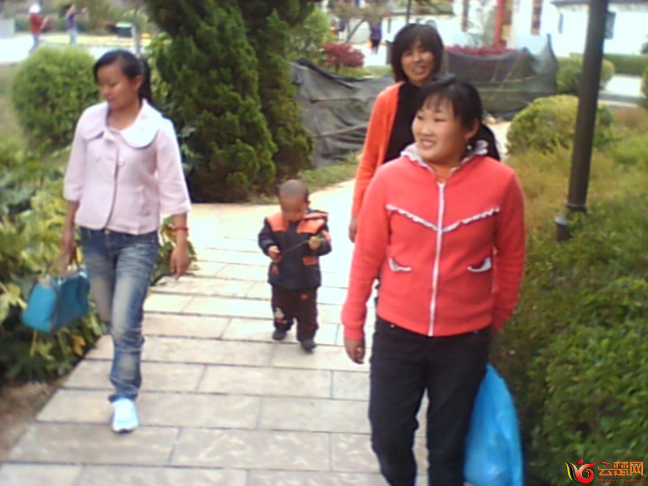 IMG10054.jpg