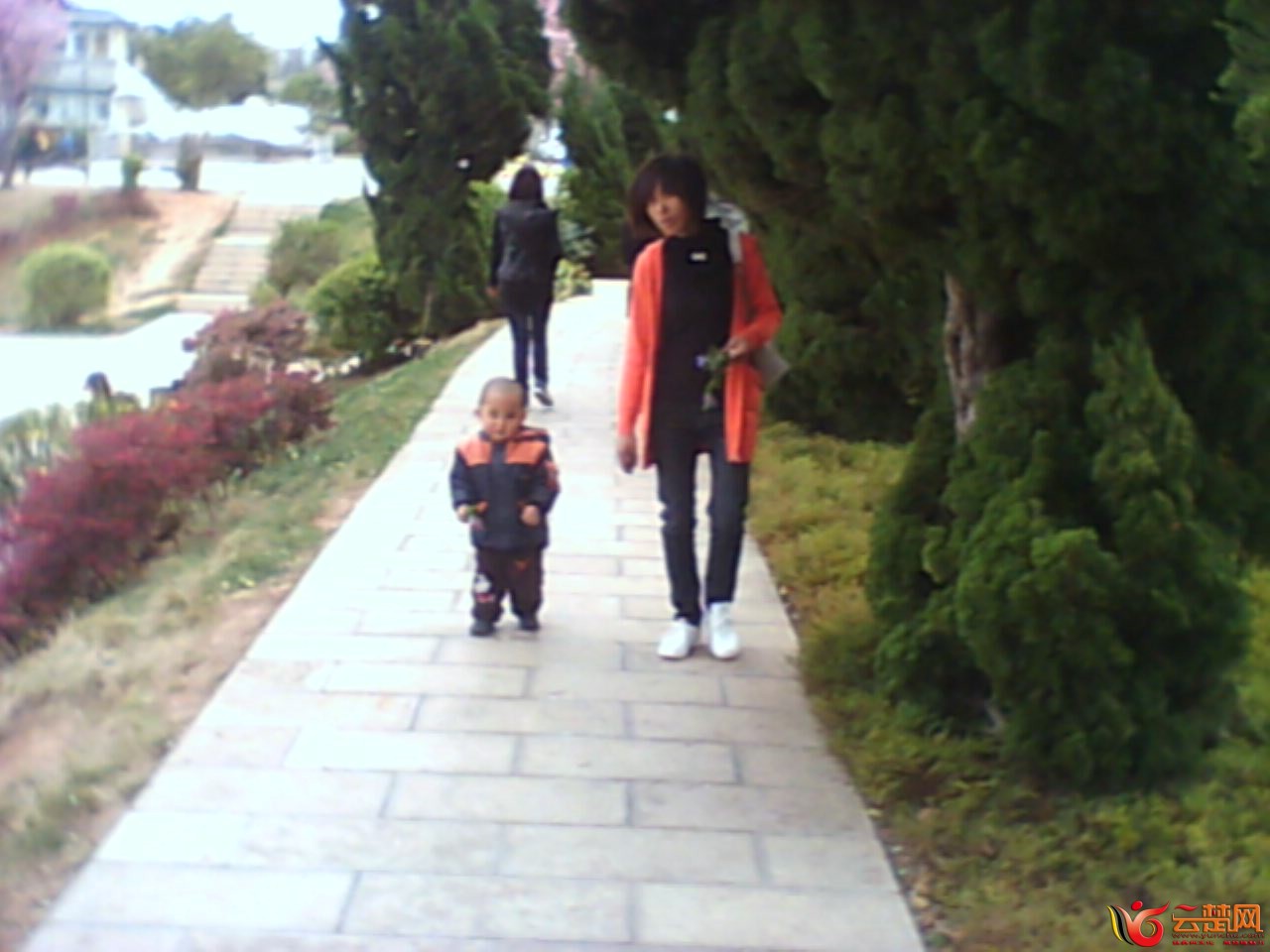 IMG10055.jpg