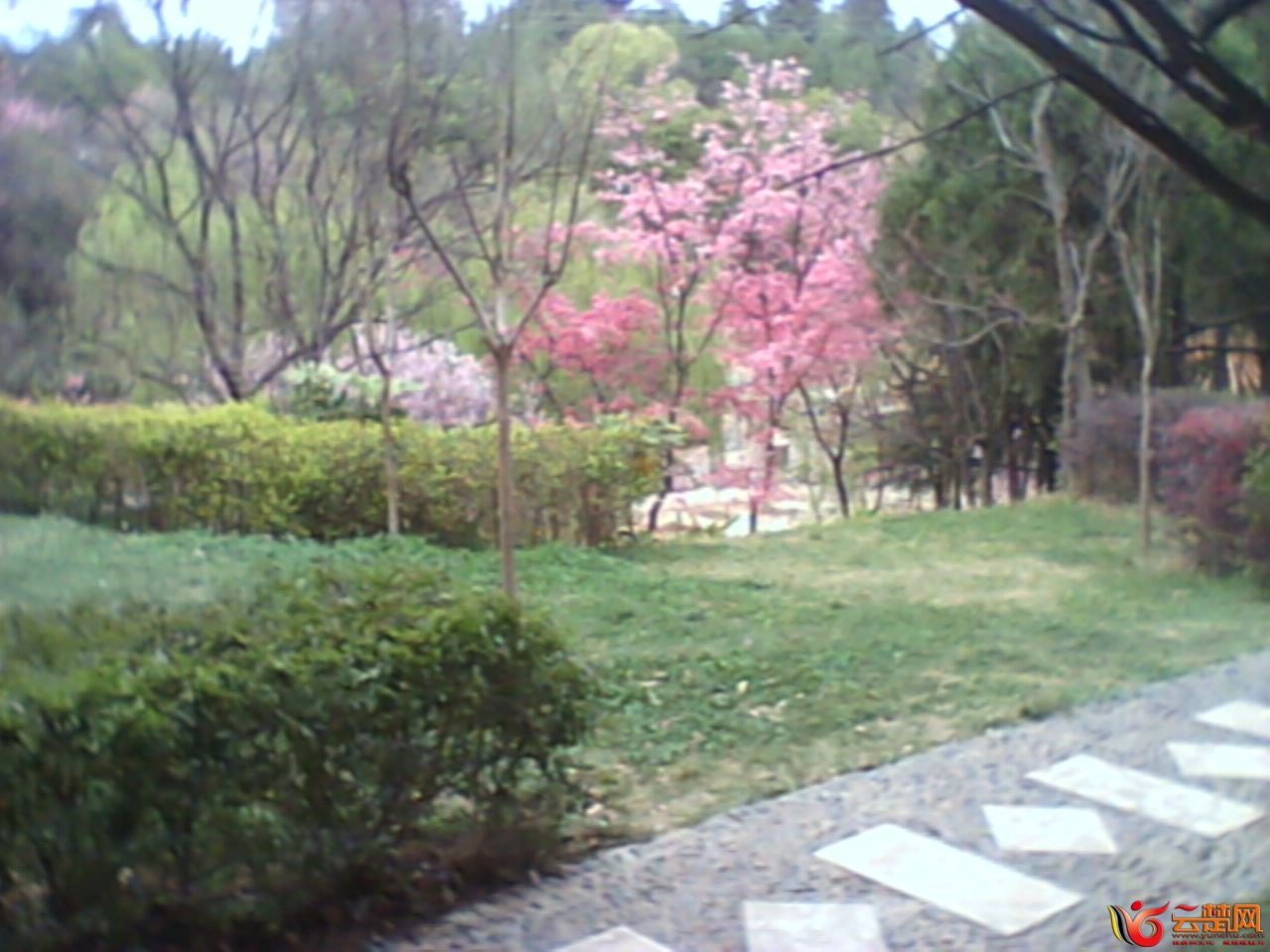 IMG10059.jpg