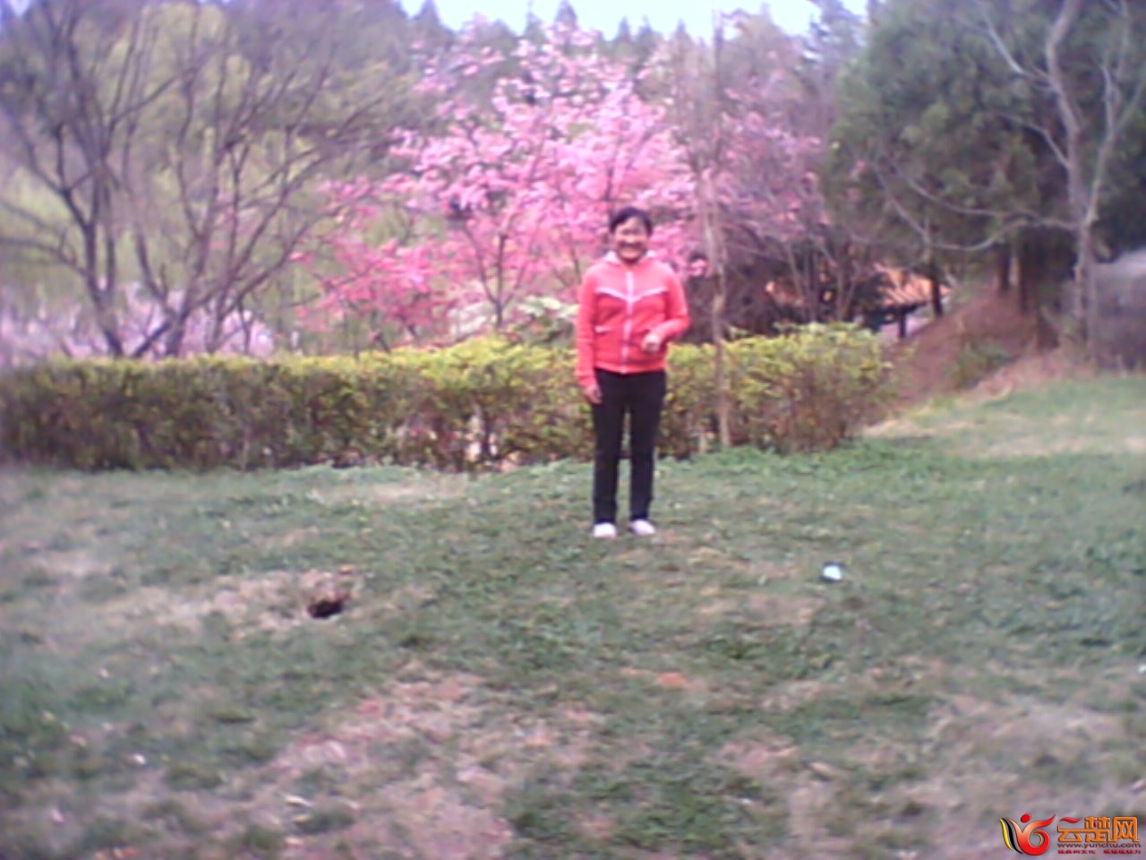 IMG10060.jpg