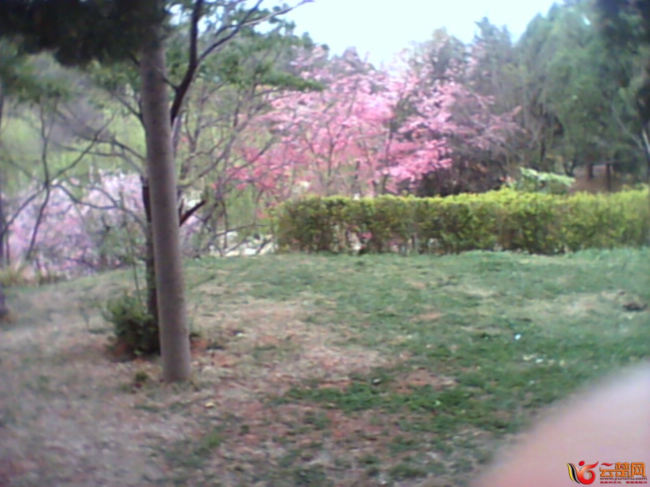IMG10061.jpg